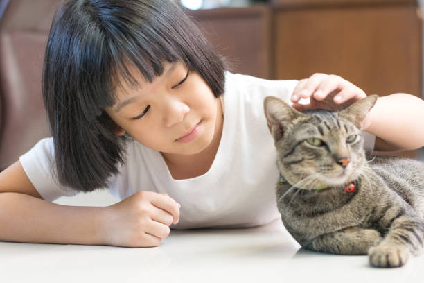 幸せなペット6